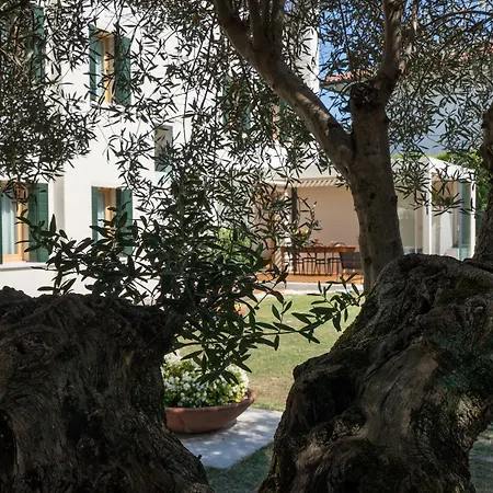 Bed And Breakfast Canalgrande-3